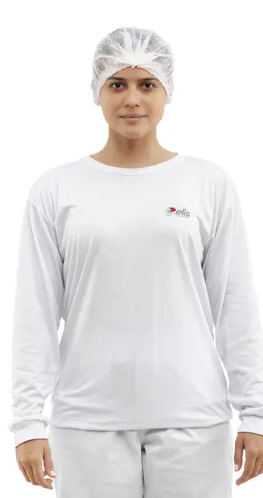 Camiseta Gola Careca