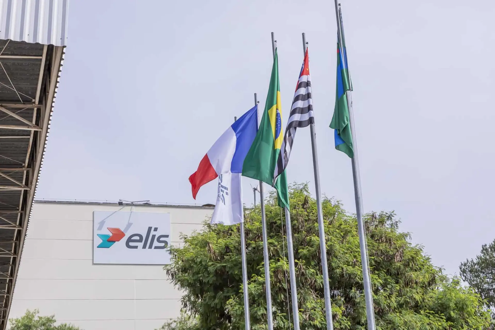 Conheça a Elis