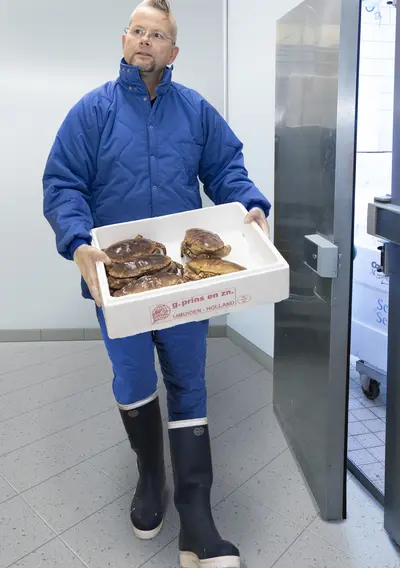 Garments that fit the bill